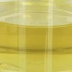 Chất ổn định chất điều chỉnh chất bôi trơn dầu Pentaerythrityl Oleate PETO Liquid CAS 19321-40-5