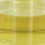 Chất ổn định chất điều chỉnh chất bôi trơn dầu Pentaerythrityl Oleate PETO Liquid CAS 19321-40-5